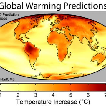 Überall auf der Welt nehmen Hitzewellen zu, da die globalen Temperaturen neue Höchstwerte erreichen